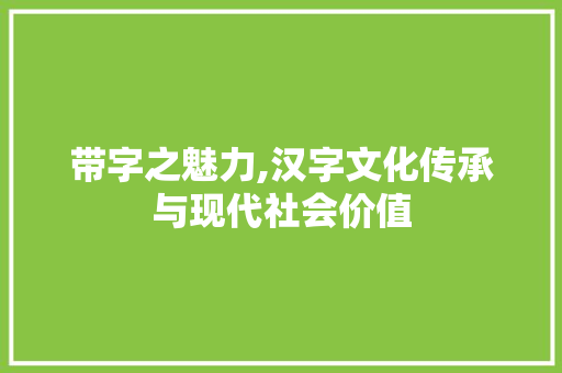 带字之魅力,汉字文化传承与现代社会价值