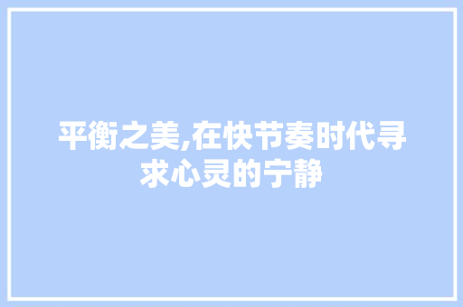 平衡之美,在快节奏时代寻求心灵的宁静 工作计划