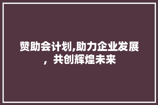 赞助会计划,助力企业发展，共创辉煌未来