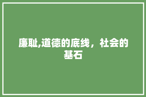 廉耻,道德的底线，社会的基石 国学经典