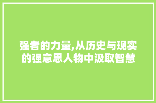 强者的力量,从历史与现实的强意思人物中汲取智慧