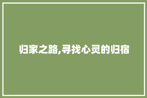 归家之路,寻找心灵的归宿