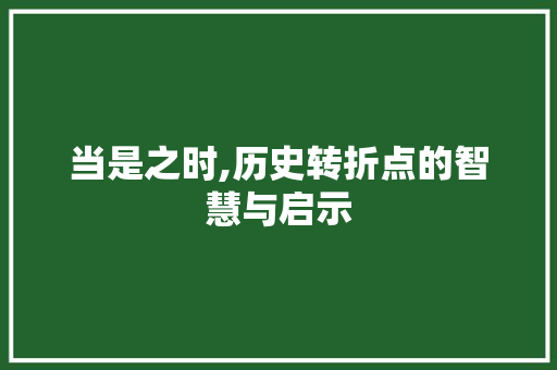 当是之时,历史转折点的智慧与启示