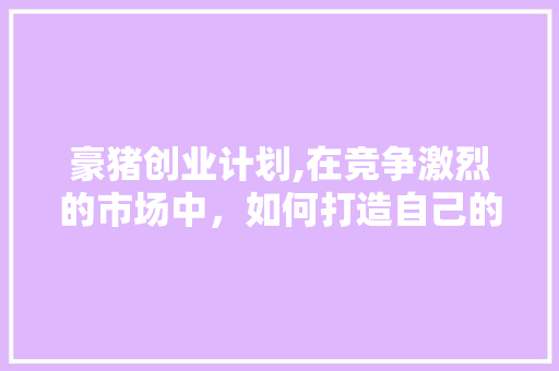 豪猪创业计划,在竞争激烈的市场中，如何打造自己的“刺猬步骤”