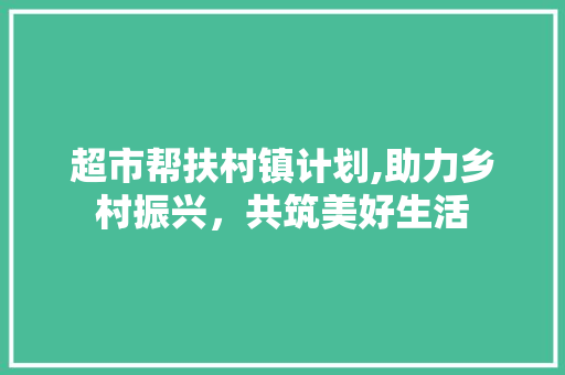 超市帮扶村镇计划,助力乡村振兴，共筑美好生活