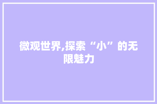 微观世界,探索“小”的无限魅力 工作计划