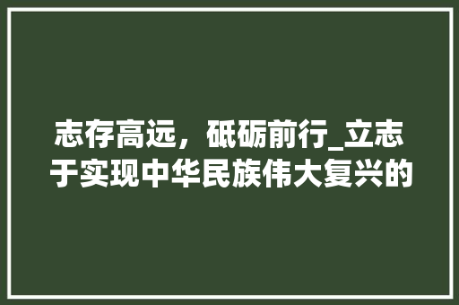 志存高远，砥砺前行_立志于实现中华民族伟大复兴的征程 演讲稿