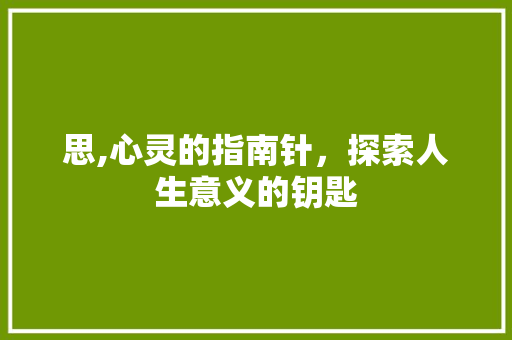 思,心灵的指南针，探索人生意义的钥匙 成语大全