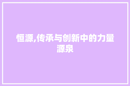 恒源,传承与创新中的力量源泉 工作总结
