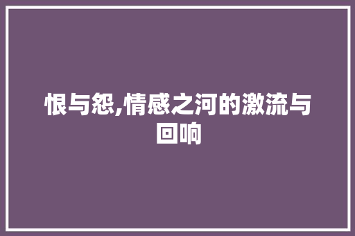 恨与怨,情感之河的激流与回响