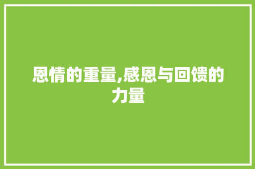 恩情的重量,感恩与回馈的力量