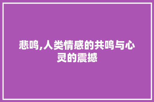 悲鸣,人类情感的共鸣与心灵的震撼