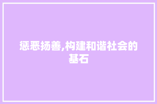惩恶扬善,构建和谐社会的基石