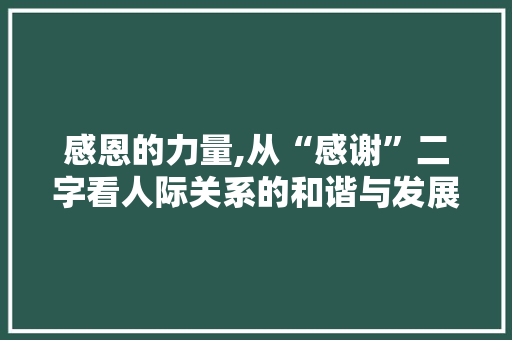 感恩的力量,从“感谢”二字看人际关系的和谐与发展