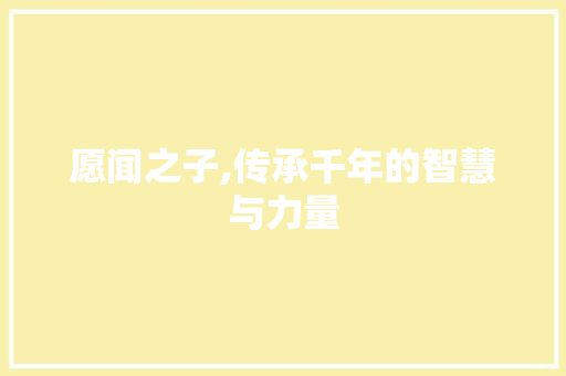 愿闻之子,传承千年的智慧与力量 成语大全