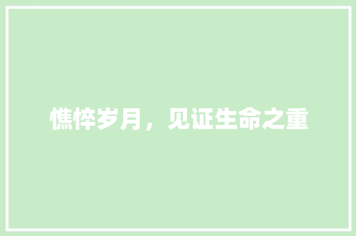 憔悴岁月，见证生命之重