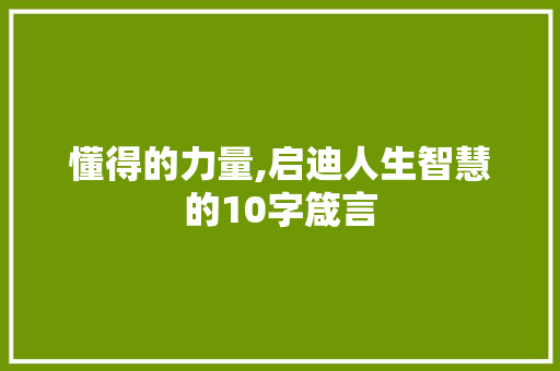 懂得的力量,启迪人生智慧的10字箴言