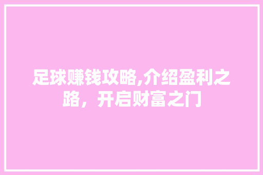 足球赚钱攻略,介绍盈利之路，开启财富之门