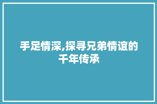手足情深,探寻兄弟情谊的千年传承