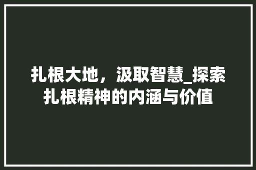 扎根大地，汲取智慧_探索扎根精神的内涵与价值