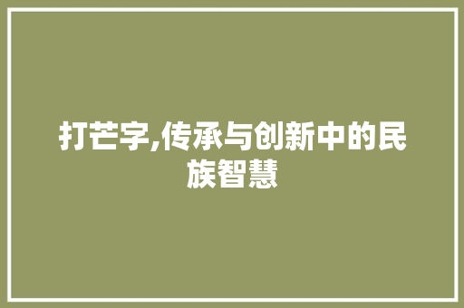 打芒字,传承与创新中的民族智慧