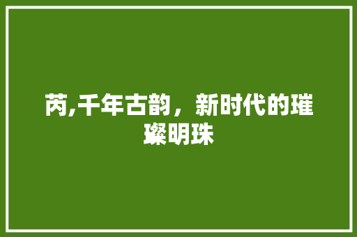 芮,千年古韵，新时代的璀璨明珠