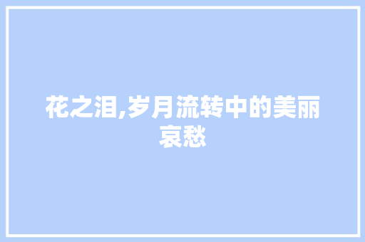 花之泪,岁月流转中的美丽哀愁