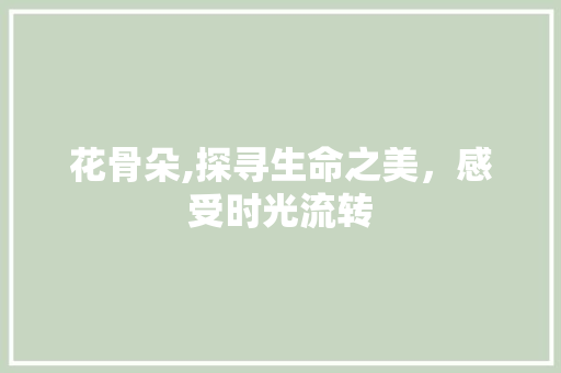 花骨朵,探寻生命之美，感受时光流转