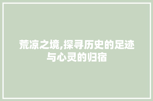 荒凉之境,探寻历史的足迹与心灵的归宿