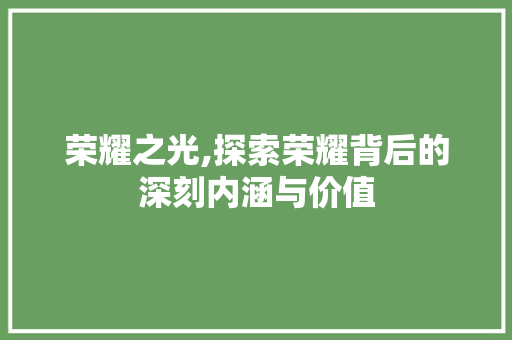 荣耀之光,探索荣耀背后的深刻内涵与价值