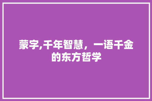 蒙字,千年智慧，一语千金的东方哲学