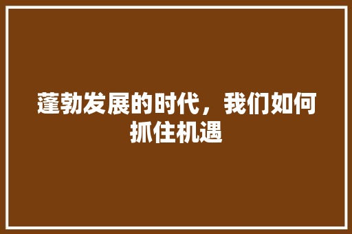 蓬勃发展的时代，我们如何抓住机遇