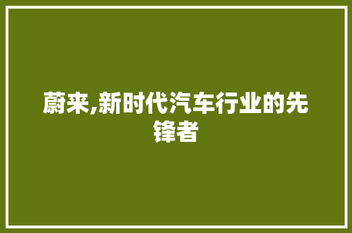 蔚来,新时代汽车行业的先锋者