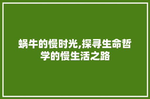 蜗牛的慢时光,探寻生命哲学的慢生活之路