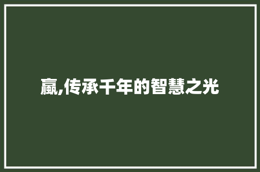 蠃,传承千年的智慧之光