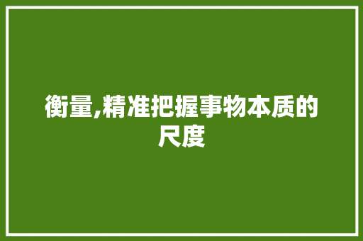 衡量,精准把握事物本质的尺度