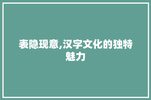 表隐现意,汉字文化的独特魅力