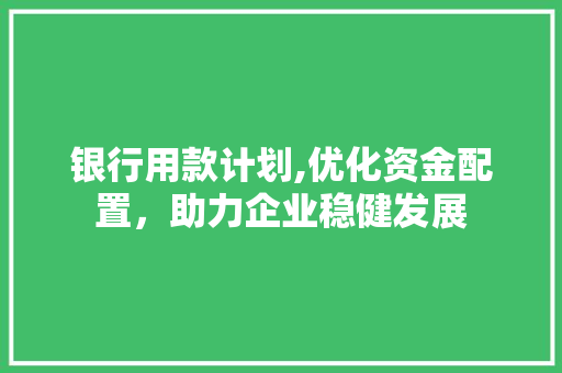 银行用款计划,优化资金配置，助力企业稳健发展