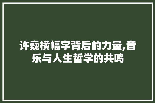 许巍横幅字背后的力量,音乐与人生哲学的共鸣