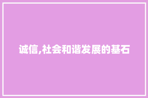诚信,社会和谐发展的基石