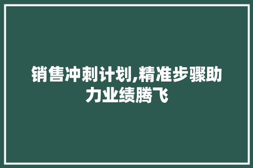 销售冲刺计划,精准步骤助力业绩腾飞