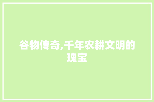 谷物传奇,千年农耕文明的瑰宝