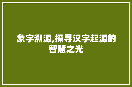 象字溯源,探寻汉字起源的智慧之光