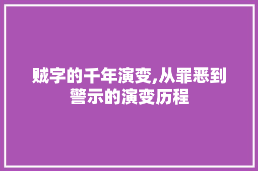 贼字的千年演变,从罪恶到警示的演变历程