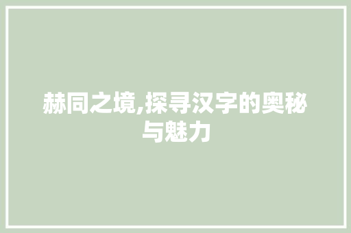 赫同之境,探寻汉字的奥秘与魅力