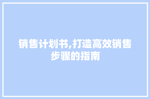 销售计划书,打造高效销售步骤的指南