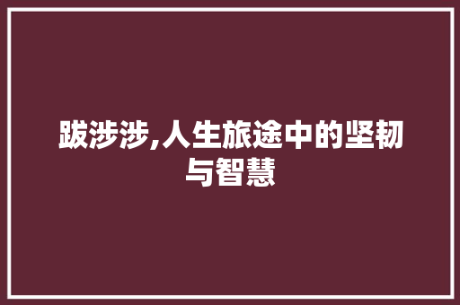 跋涉涉,人生旅途中的坚韧与智慧