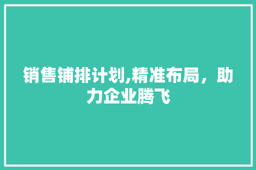 销售铺排计划,精准布局，助力企业腾飞