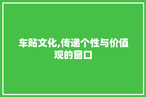 车贴文化,传递个性与价值观的窗口