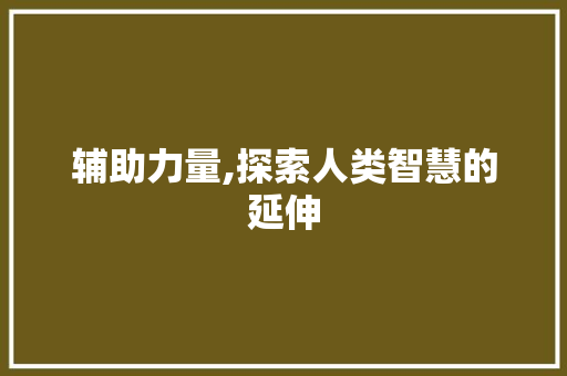 辅助力量,探索人类智慧的延伸